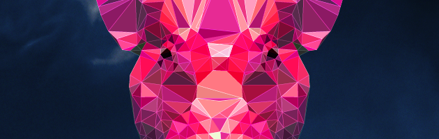 Coming up: Dec. 21st HAM with Apex Rise @ P60, Amstelveen